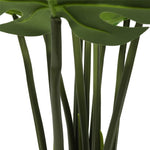 Split Philodendron 120cm V77-1089085