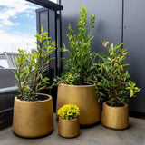 Elegant Gold Planters / Gold Pots Set of 4 V637-DP288979