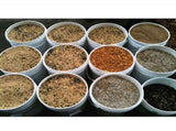 Kitchee Bulk 10x 10L Plastic Buckets Lids - Empty White With Handle Large Pail V238-SUPDZ-21934188101712