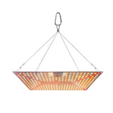 Plant Lamp LED Succulent Fill Light 50W Full Spectrum Plant Grow Light Quantum Plate V1294-YM0901-L6913US-2