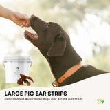 1Kg Dog Treat Pig Ear Strips Bucket - Dehydrated Australian Healthy Puppy Chew V238-SUPDZ-40318351540304