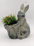 Peter Rabbit Planter V231-MP-062