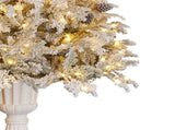 Christabelle 2.3m Christmas Tree Potted Alpine Fir with Pre Lit Multi-Colour LED Lights 112_HZPA75