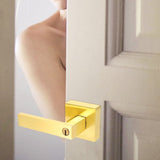 Interior Privacy Door Lever Handle Set, Alloy Material, 1 Set for Home and Office Door Security V1366-AZ2-W-17336