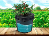 DWC Hydroponics Grow System Deep Water Culture 8 Buckets with Air Pump V952-SSSPXTYX8110VT55FV3