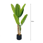 SOGA 160cm Banna Plant Bird of Paradise Tree Artificial Plant Home Accent Decor APLANTFHBJS16017