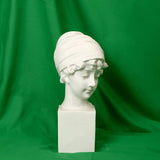 Hridz Premium Quality 2x3m Green Screen Photo Backdrop Muslin Background Studio Curtain with pocket V571-0728040811546