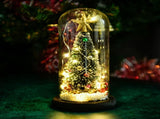 Christmas Tree in Glass Dome LED Glass Cover Ornaments Cedar Window Shooting Props Gifts for V1294-YM0523-10319222