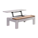 Coffee Table High Gloss Finish Lift Up Top MDF White Ash Colour Interior Storage V43-CT-GND-WA