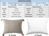18" x 18" Decorative Throw Pillow with Inserts, Set of 2 Farmhouse Neutral Couch Throw Pillows with V1258-DP02-C-3205