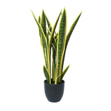 Artificial Mother in Law Tongue / Yellow Tongue Sansevieria UV Resistant 60cm V637-DP75270
