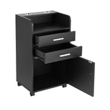 Artiss Professional Salon Station Rolling Cart, Hair Styling Beauty Cabinet with 2 Drawers & 2 FUR-AD-SAL-01-BK
