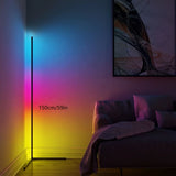 Black Silver 1.6m Floor Light Smart Voice-Controlled Light USB Powered Light Ambient Light V1347-124-SIL-82961