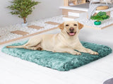 PaWz Dog Mat Pet Calming Bed Memory L Green Large PT1139-L-GN_NZ
