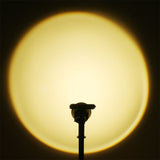 2PCS Solar Powered Sunset Spotlight Outdoor Waterproof Spot LED Accent Landscape Uplight for Outside V1192-AZ-W-11415