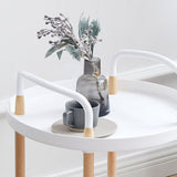 Cart Storage Rack Plastic Armrest Design Corrosion Resistant Rolling Storage Cart for Home Living V1294-YM0716-3117220166911