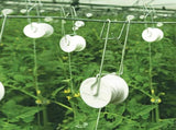 Galvanized Steel Tomato Hooks 10-Pack M-Shaped Plant Support Clips for Tomatoes, Cucumbers & V1192-AZ-W-18714