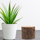 4-Pack Artificial Tree Stump Planter Pots with Realistic Bark Texture, Rustic Wood Flower Pots for V1369-AZ3-W-21951
