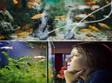 Solar Pond Pump Air Pump Solar Powered Pool Fish Tank Oxygenator Oxygen Aerator V201-QHGMMOREONE005