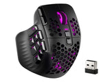 SOLAKAKA Wireless MMO Gaming Mouse 16 Buttons Bluetooth 24000 DPI RGB XFF3-MSSM809P-BK