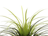 Potted Artificial Long Grass 115cm UV Resistant V637-DP1223729