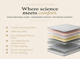 Royal Comfort Comforpedic Bonnell Spring Mattress - Queen ABM-204760