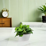 Stylish Resin Plant Pot Indoor Large Round Lightweight Tabletop Planter V1370-AZ4-14462