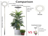 Versatile Floor Plant Grow Light with Full Spectrum LED Ring, Telescopic Stake, 3 Color Modes, V1341-ZY-WAQJ6S4A-BLACK-3PCS
