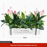 faux potted plant, sunflower, wooden box, home decor, Australia, living room tabletop V1106-112-23547-MLT-38
