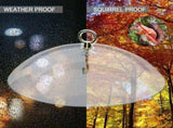 Outdoor Garden Panoramic Transparent Thick Plastic Anti-Squirrel Bird Feeders Cover Dome V1369-AZ3-W-02236