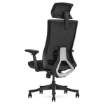 Lifespan Fitness DM9 Ergonomic Mesh High Back Office Chair V420-LFOC-DM9BK-1