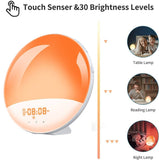 1 Pack Wake Up Light Alarm Clock with FM Radio and Sunrise Sunset Simulation V1188-MS-325-0280