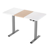 Artiss Standing Desk Electric Sit Stand Desks 120CM HASD-114G-GYDF-NWDB-120