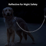 5 FT Strong Dog Leash with Comfortable Foam Handle Highly Reflective Threads with Metal Clasp V1258-DP02-F-545