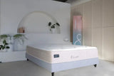 And Sleep Luxor Mattress Queen V1093-IPANDSLELUXQM