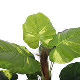 Artificial Potted Pothos Plant with Pole 100cm V77-1043068