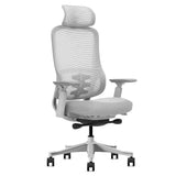 Lifespan Fitness DM8 Ergonomic Office Desk Chair V572-LFOC-DM8G
