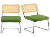 Rattan Chairs, Set of 2, Mid Century Modern Dining Chair, Upholstered Velvet Accent Chair with V952-TBYCYTERLS206AHX9V0