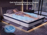 Levitex 35CM Single Mattresses Gel Memory Foam and 7-Zone Ergonomic Pocket Spring, Anti-Roll MATTRESS-F-OMNI-35-S