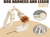 Pet Harness Leash Set Lace Embroidered Escape Resistant Adjustable White S V1263-JX-7836-1