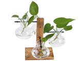 Innovative Hydroponic Vase with Wooden Stand Transparent Desktop Flower Vase for Home V1294-YM0714-3111210271911