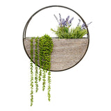 Timber Elemental Wall Planter 60cm V637-91269PLN