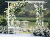 Stereoscopic Metal Garden Arch Arbor Wedding Pergola Trellis V178-66753