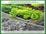 Seed Spacer Tool for Square Foot Gardens - Maximize Your Garden Space and minimize Weeds with This V1258-DP02-C-265