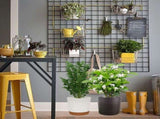 9 Inch Pots, Modern Cylinder Planters with Drainage Holes & Outdoor Flower Pots for Houseplants, V1366-AZ2-W-18102