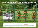 Garden Stakes, 25 Pack, 1800 mm, Plastic Coated Metal Tomato Stakes, Garden Sticks for Plants V952-ZWZCHYZ18M118QM4M001V0