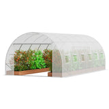 Walk-in Tunnel Greenhouse, 19.4x9.7x6.5 ft Hoop House Greenhouse Tunnel, Plant Hot House with V952-SDXWS20X10X78IHE2V0