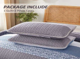 Ornate Quilted Bedspread and Pillowcases Set Beautifully Crafted for Luxury - Queen size V745-MAC090416Q13U