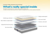 Giselle Bedding 21cm Mattress Pillow Top Queen MATTRESS-0754-PT-Q