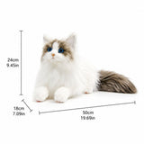 19.69 Inch Ragdoll Cat Plush Toy, Realistic Simulation Feline Stuffed Animal with Blue Eyes for V1370-AZ4-15610
